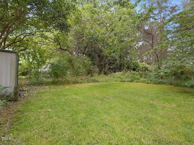 view of yard