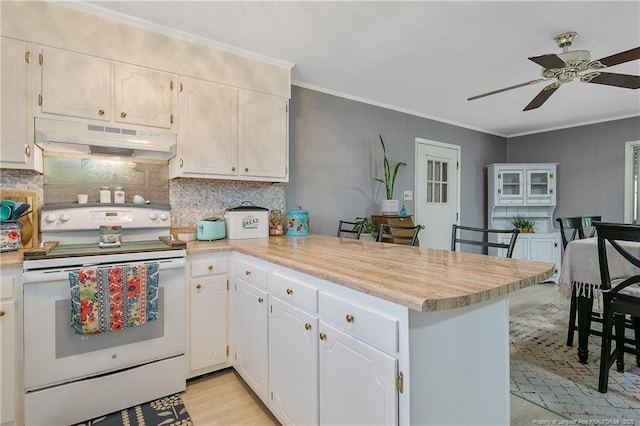 1810 Ashton Rd, Fayetteville, NC 28304 - kitchen featuring white electric stove, light countertops, light wood finished floors, a peninsula, and under cabinet range hood