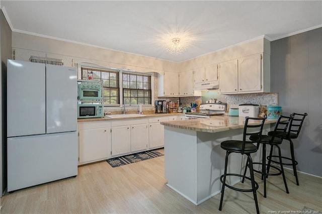 1810 Ashton Rd, Fayetteville, NC 28304 - kitchen with freestanding refrigerator, stainless steel microwave, under cabinet range hood, a sink, and range