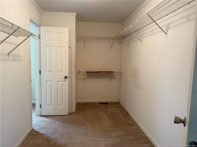 921 Pickard Rd, Sanford, NC 27330 - walk in closet featuring carpet floors
