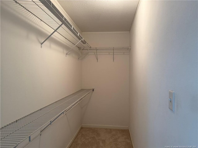 921 Pickard Rd, Sanford, NC 27330 - walk in closet featuring light carpet