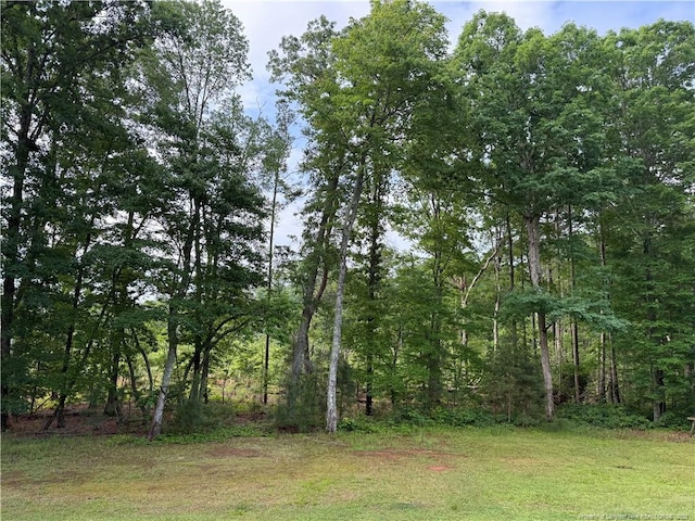 921 Pickard Rd, Sanford, NC 27330 - view of yard with a view of trees