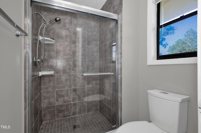 full bath featuring toilet and a shower stall