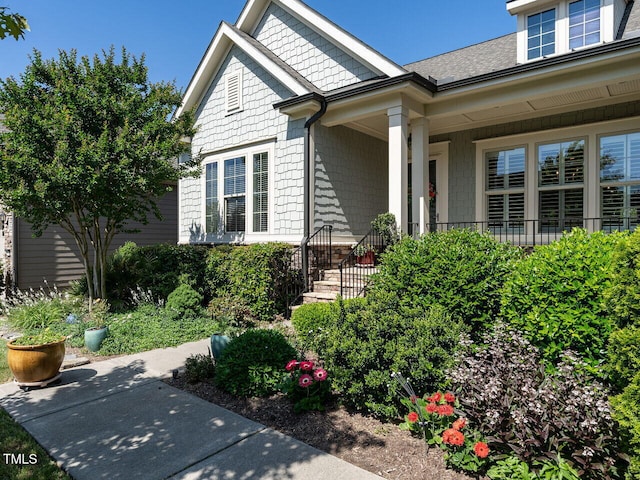 property entrance featuring a porch and roof with shingles