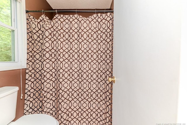 bathroom with toilet and a shower with curtain