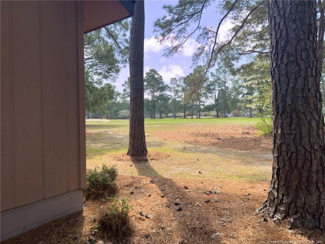 6739 Irongate Dr Unit B, Fayetteville, NC 28306 - view of yard