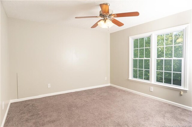 6205 Gambrills Ct, Fayetteville, NC 28304 - photo 28