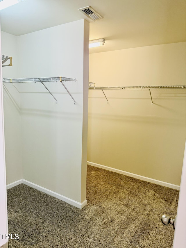 2902 Framer Ln, Durham, NC 27704 - walk in closet with carpet floors