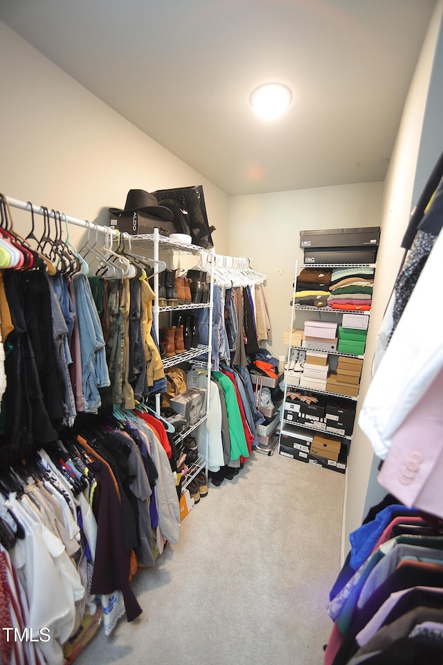 spacious closet featuring carpet