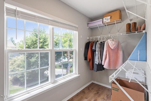 8408 Haines Creek Ln, Raleigh, NC 27616 - spacious closet with wood finished floors