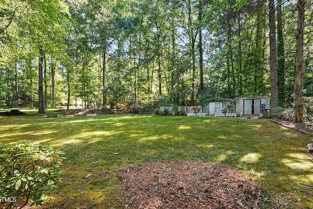 5414 Stanley Rd, Durham, NC 27704 - view of yard with a storage unit and an outbuilding
