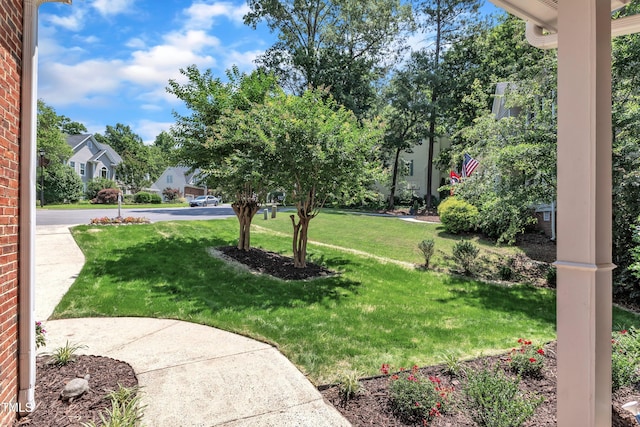 111 Ferncroft Ct, Cary, NC 27519 - view of green lawn