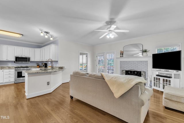 111 Ferncroft Ct, Cary, NC 27519 - living area featuring crown molding, a fireplace, light wood-style flooring, and a ceiling fan