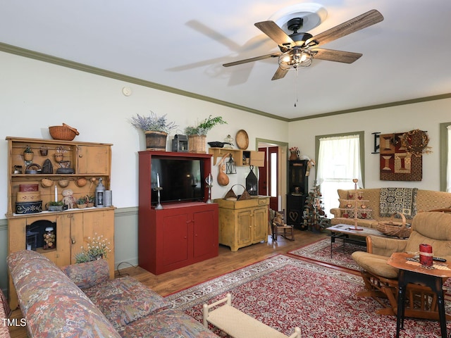 living area with a ceiling fan, ornamental molding, and light wood finished floors