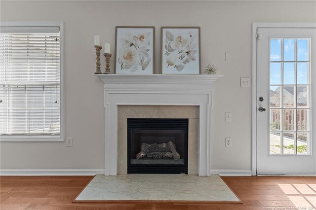 details featuring baseboards, a glass covered fireplace, and wood finished floors