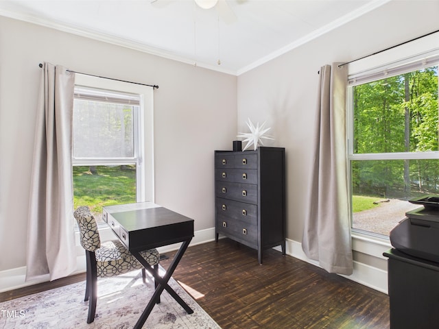 3609 Creekridge Country Rd, Randleman, NC 27317 - office space with crown molding, dark wood-style flooring, and plenty of natural light