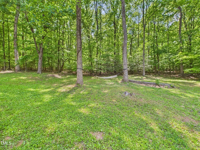 3609 Creekridge Country Rd, Randleman, NC 27317 - view of yard