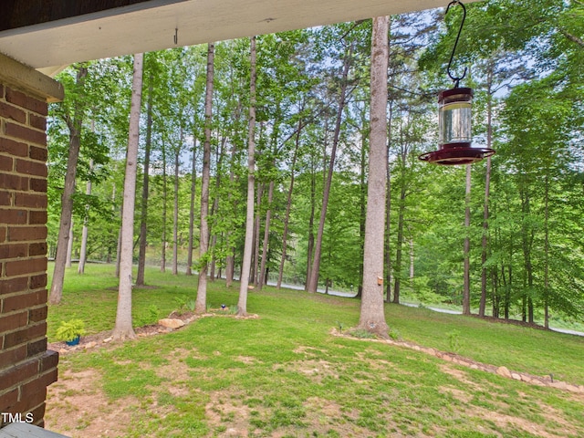 3609 Creekridge Country Rd, Randleman, NC 27317 - view of yard