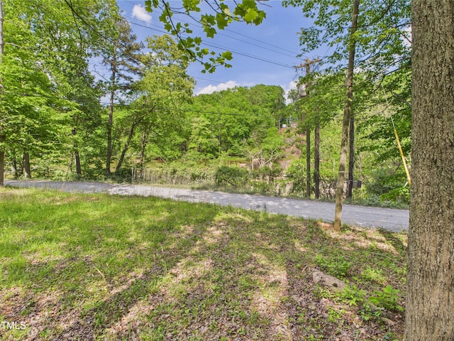3609 Creekridge Country Rd, Randleman, NC 27317 - view of yard with a wooded view
