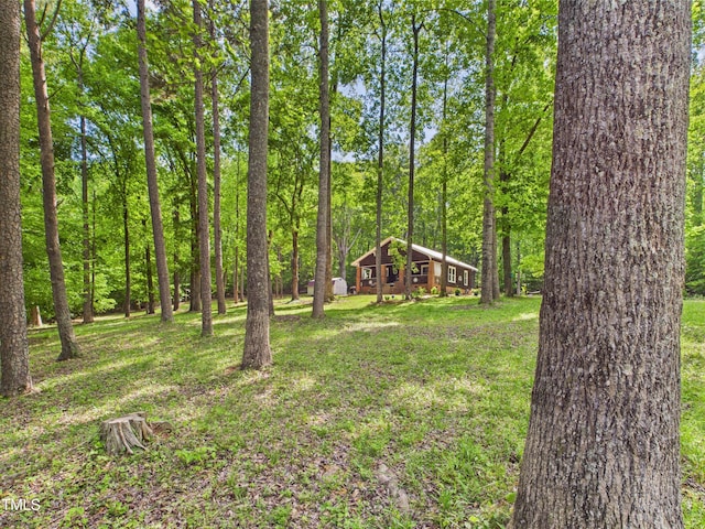 3609 Creekridge Country Rd, Randleman, NC 27317 - view of yard