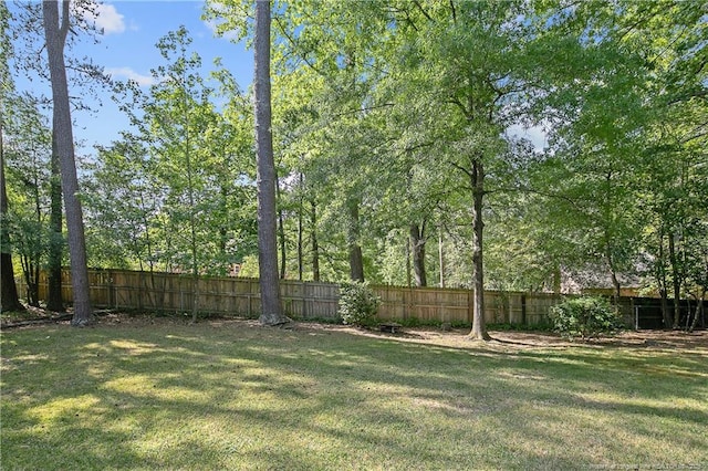 2227 Meadow Wood Rd, Fayetteville, NC 28303 - photo 49