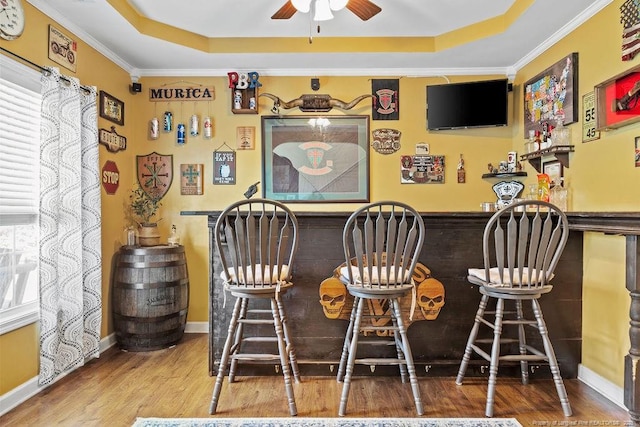6628 Carriage Crossing Rd, Hope Mills, NC 28348 - bar featuring a tray ceiling, ceiling fan, a bar, and wood finished floors