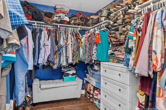 6628 Carriage Crossing Rd, Hope Mills, NC 28348 - walk in closet with dark wood-style flooring
