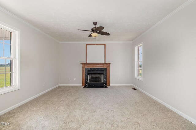 2919 Hayfield Rd, Wade, NC 28395 - unfurnished living room with carpet, a wealth of natural light, a ceiling fan, and a high end fireplace