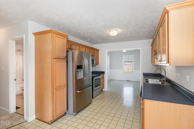 2919 Hayfield Rd, Wade, NC 28395 - kitchen featuring a sink, stainless steel appliances, baseboards, and dark countertops