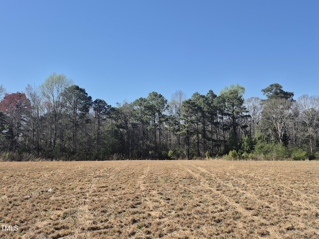 214 Alden Way, Angier, NC 27501 - view of landscape