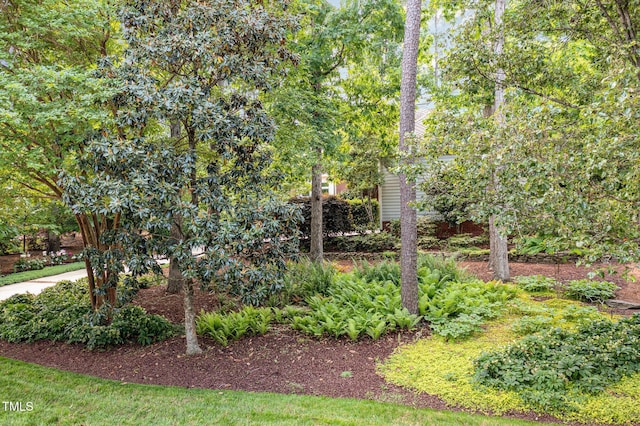 27425 Walker, Chapel Hill, NC 27517 - view of yard