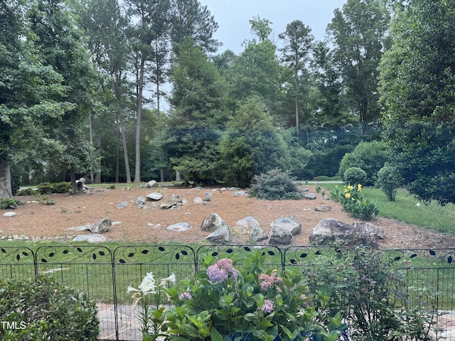 90021 Hoey, Chapel Hill, NC 27517 - view of yard