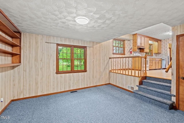 additional living space with carpet flooring, baseboards, visible vents, and a wealth of natural light