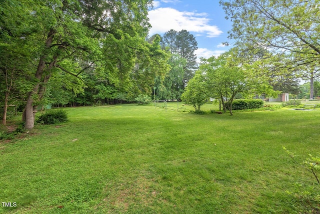 view of yard