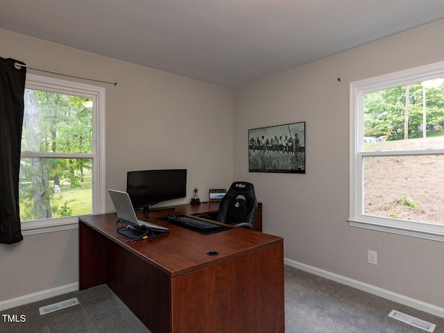 carpeted office featuring visible vents, baseboards, and a wealth of natural light