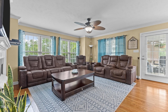 living room with ornamental molding, ceiling fan, wood finished floors, and a fireplace
