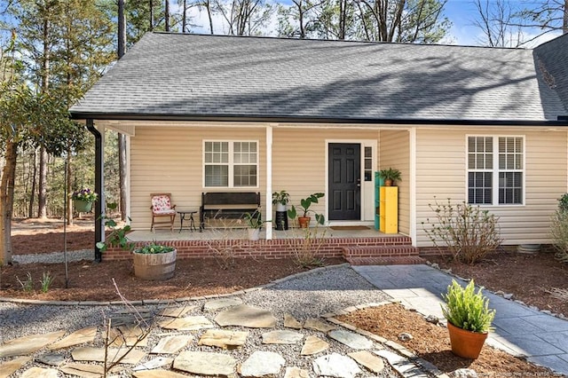 view of front facade featuring roof with shingles and covered porch
