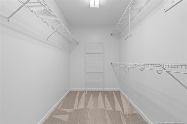 481 Clearwater Harbour, Sanford, NC 27332 - spacious closet with carpet floors