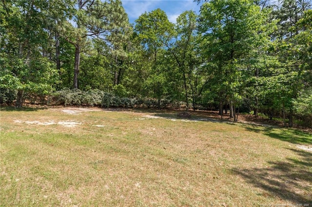 481 Clearwater Harbour, Sanford, NC 27332 - view of green lawn