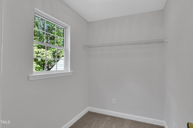 washroom featuring baseboards and carpet floors