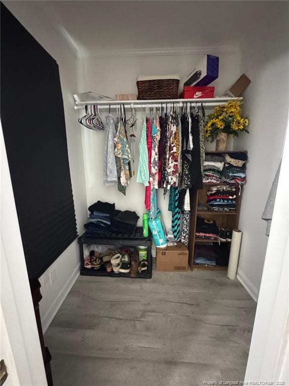 walk in closet featuring wood finished floors