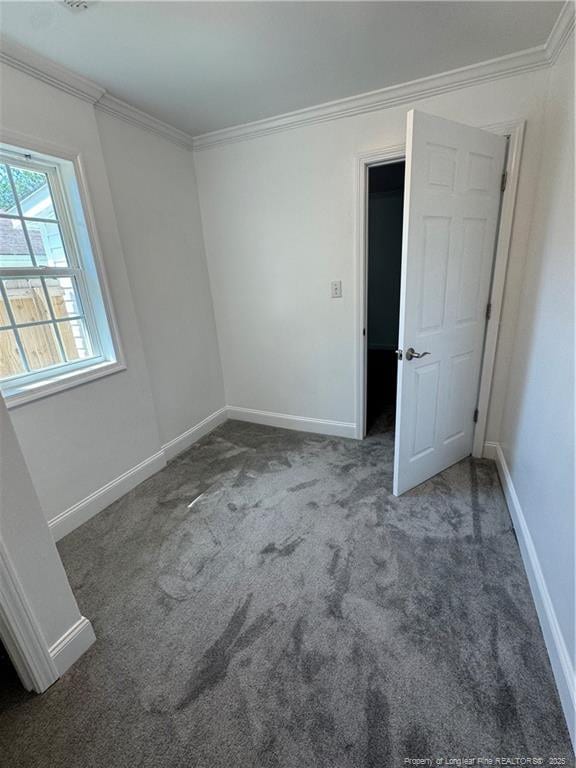 interior space featuring carpet flooring, crown molding, and baseboards