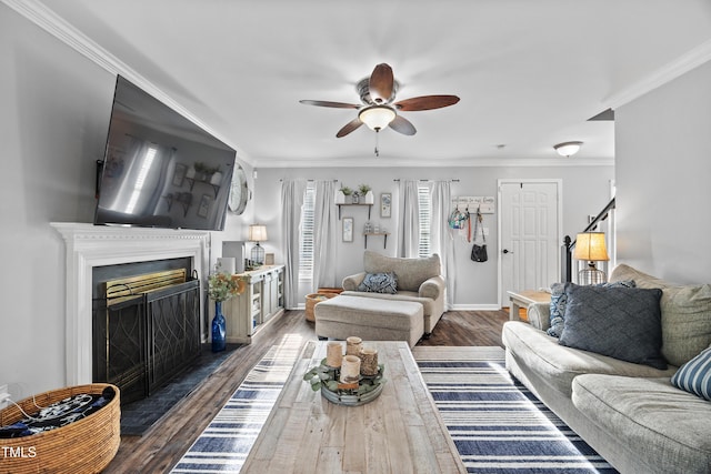 living area featuring ceiling fan, a fireplace with raised hearth, baseboards, wood finished floors, and ornamental molding