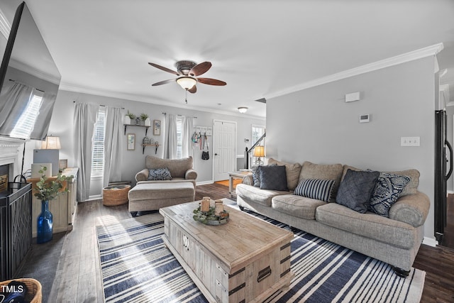 living room featuring crown molding, ceiling fan, a healthy amount of sunlight, and dark wood-style floors
