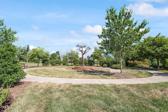 1613 Waddell Ct, Durham, NC 27703 - photo 57
