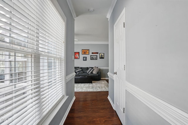 hallway with crown molding, a wainscoted wall, and dark wood-type flooring