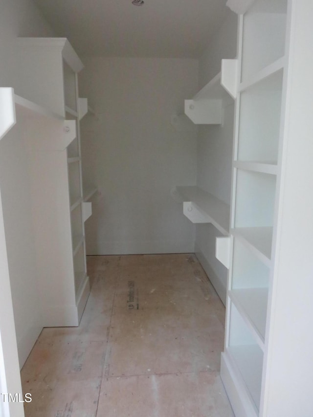 view of spacious closet