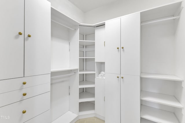 view of walk in closet