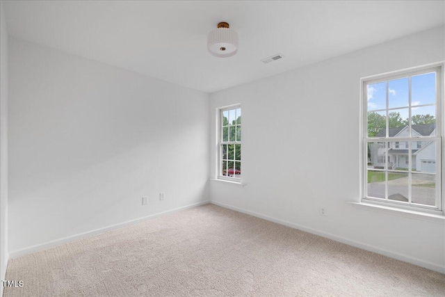8004 Mill Bluff Ct, Raleigh, NC 27616 - photo 20