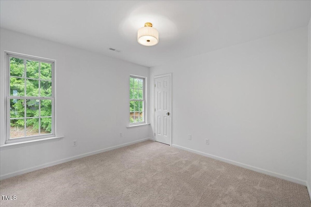 8004 Mill Bluff Ct, Raleigh, NC 27616 - photo 31